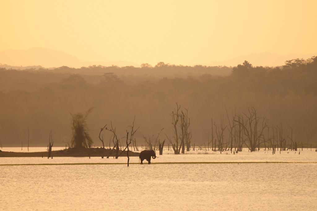 Evolve Back Kabini Hotel Begur Exterior photo